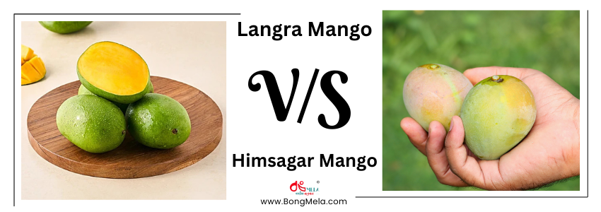 Langra Mango vs. Himsagar Mango - Which One Is Better?